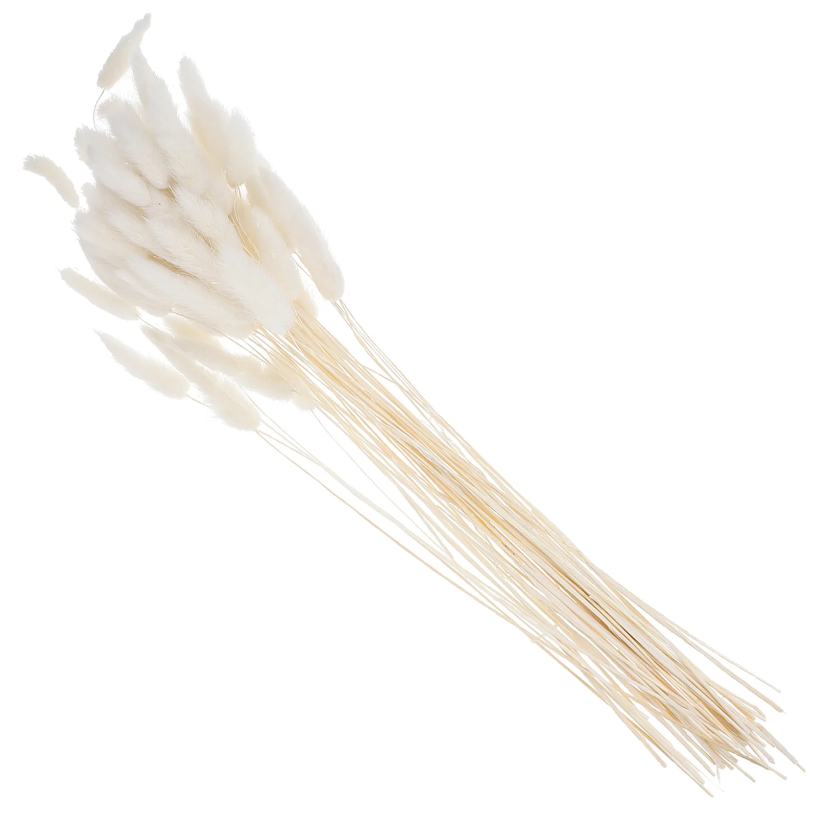 

Bunch/60 Pcs Wedding Decoration Dried Grass Rabbit Tail Hay Natural Plants Dried Flowers for Photography Flower Arrangement