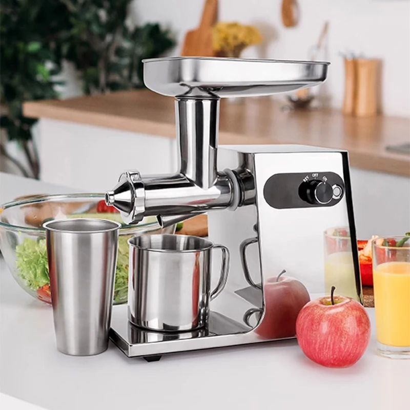 

Fruit and Vegetable Low Speed Juice Extractor 200W Slow Masticating Auger Juicer Compact Cold Press Juicer Machine