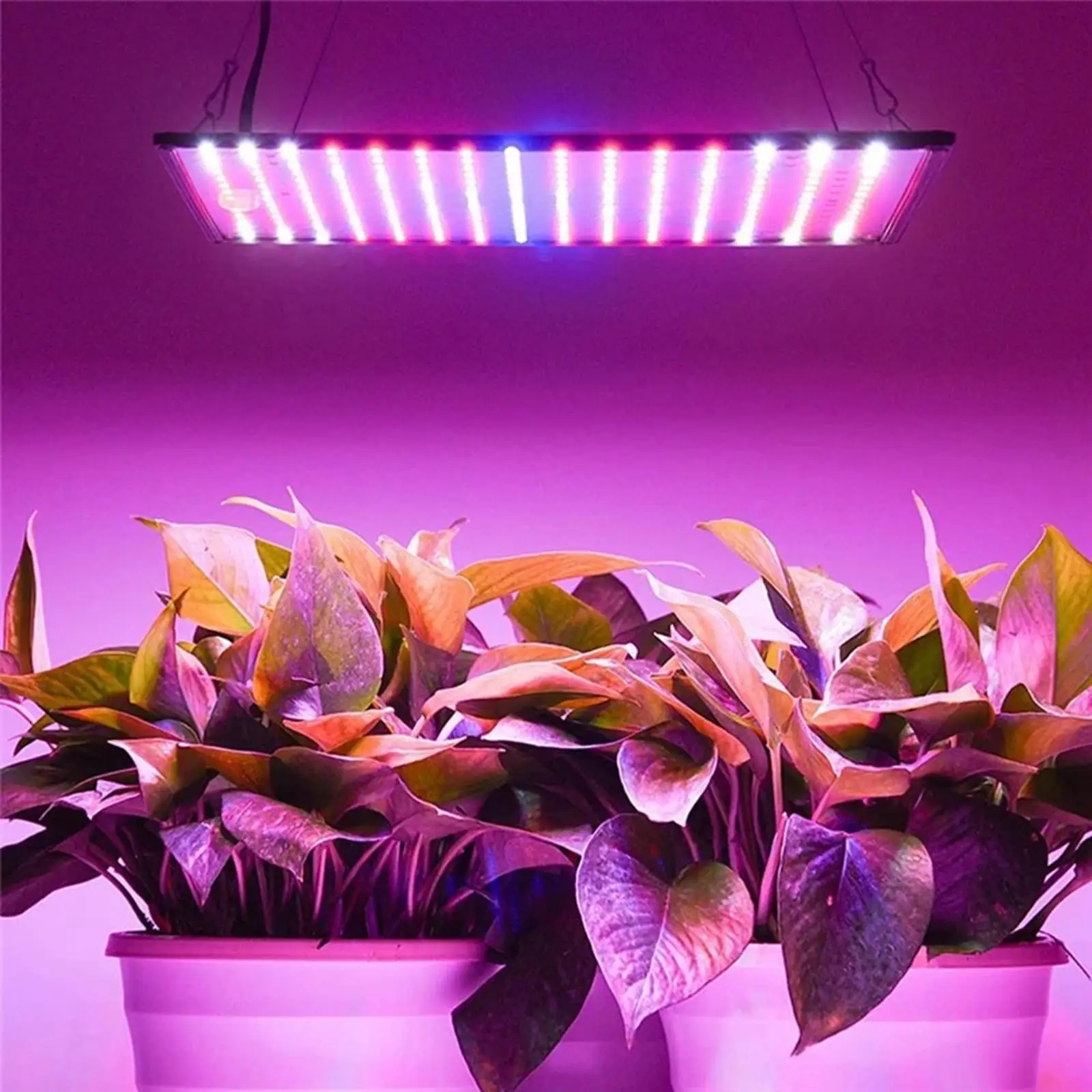 Plant Grow Light EU Plug Blue Red Orange White Clip Plant Lamp for Houseplants Hydroponics