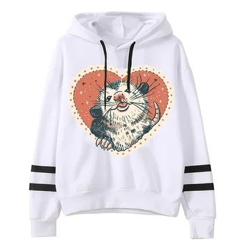 Ins Hoodie Opossum Raccoon Badger Animals Tracksuit Clothing for Women Men Graphics 90s Lovely Streetwear Unisex Sweatshirt