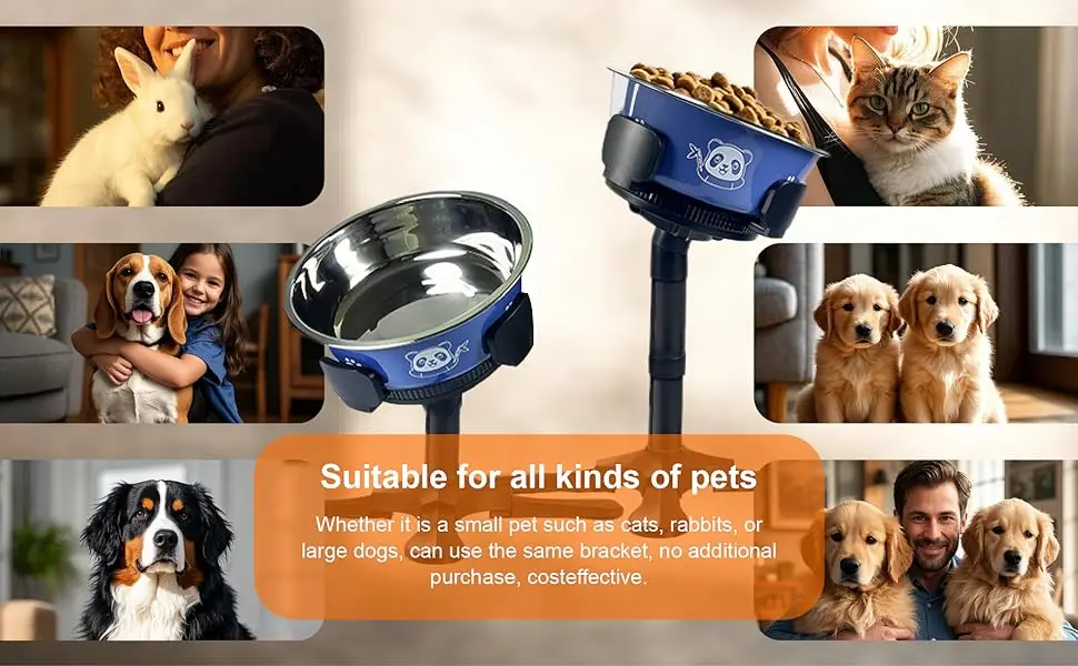 raised dog food bowl