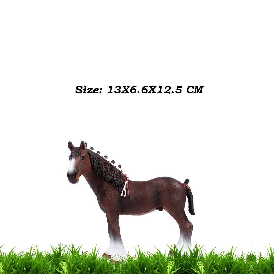 Clydesdale Stallion