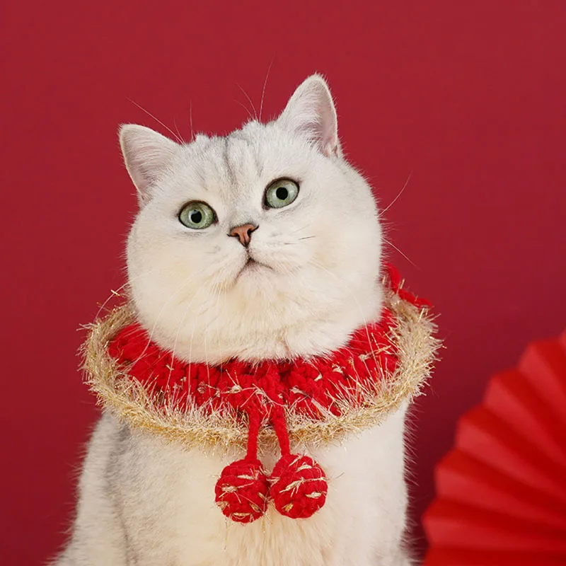 

British Short Hairless Cat Collar Clothes, Pet Clothing, Cute Decoration, New Year, Christmas, Winter