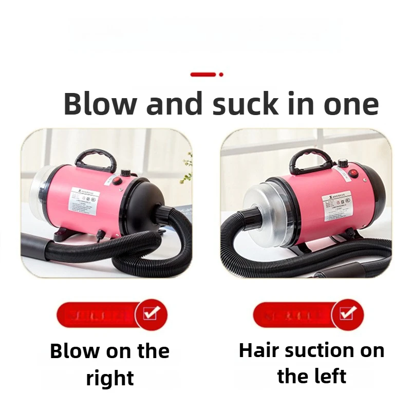 Dual Purpose High-power Water Blower Low Noise Professional Hair Dryer for Dogs Multi Functional Variable Speed Pet Dryers