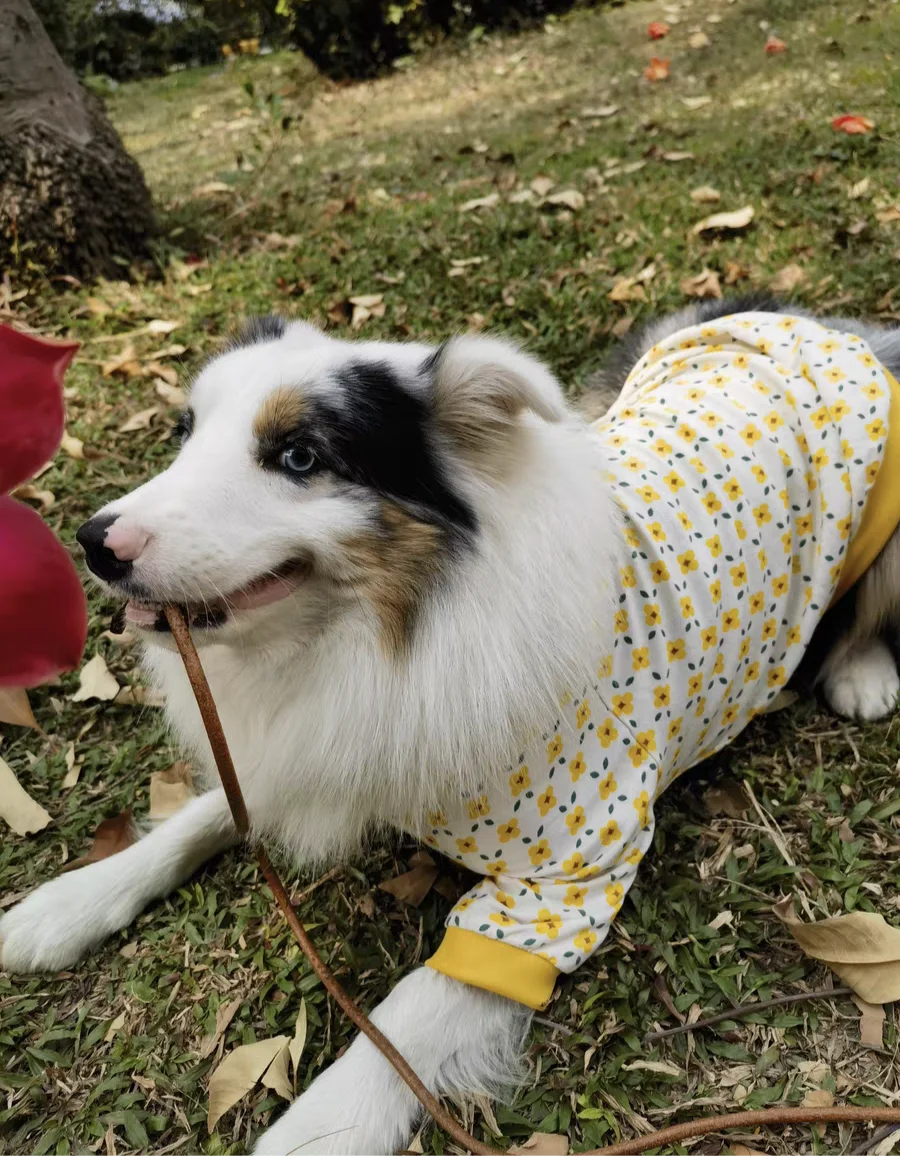 Thin Breathable Cotton Pet Pullover Clothes - PeticaDeals