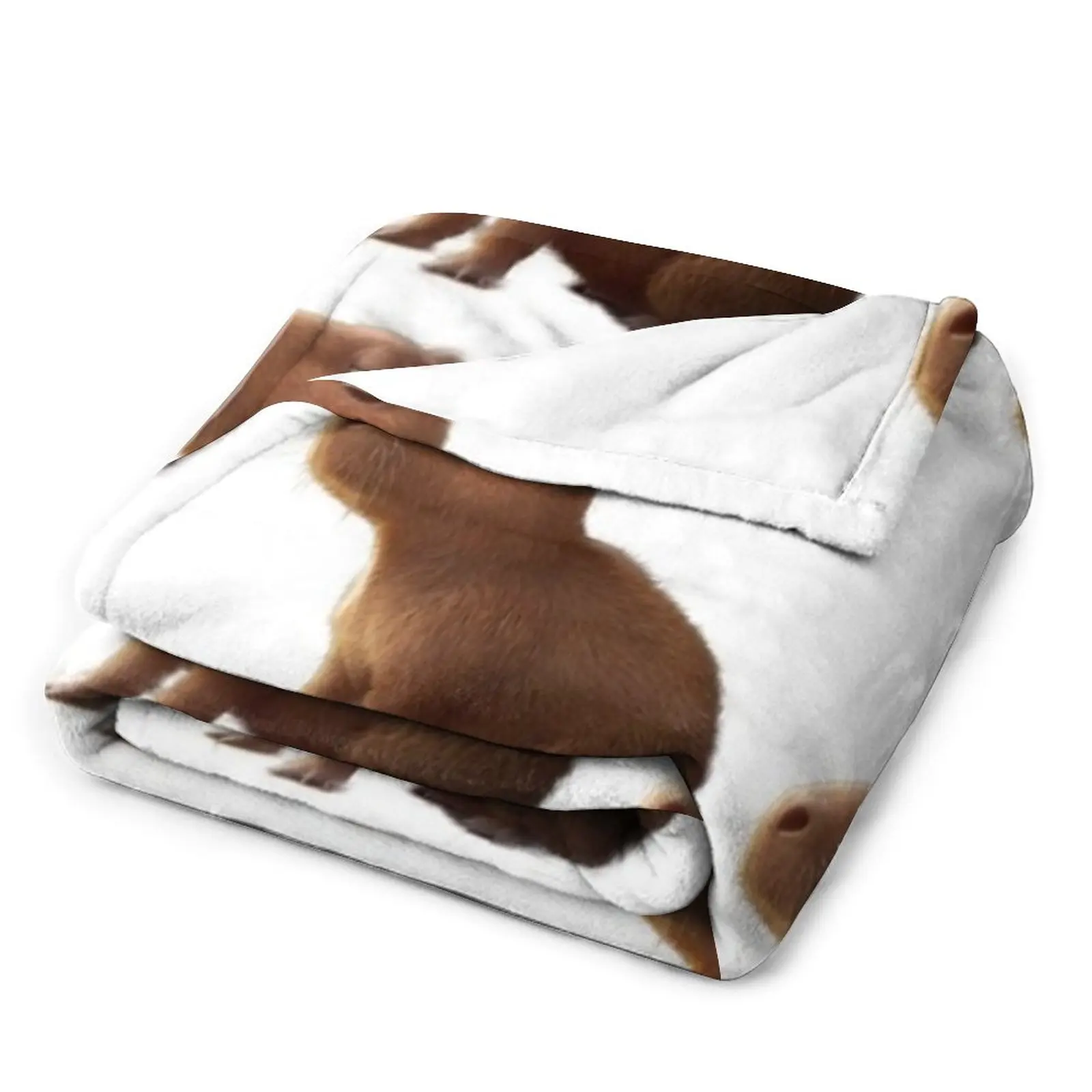 Capybara Capybara ���� ������ ���, ħ�� ���, ��� ���