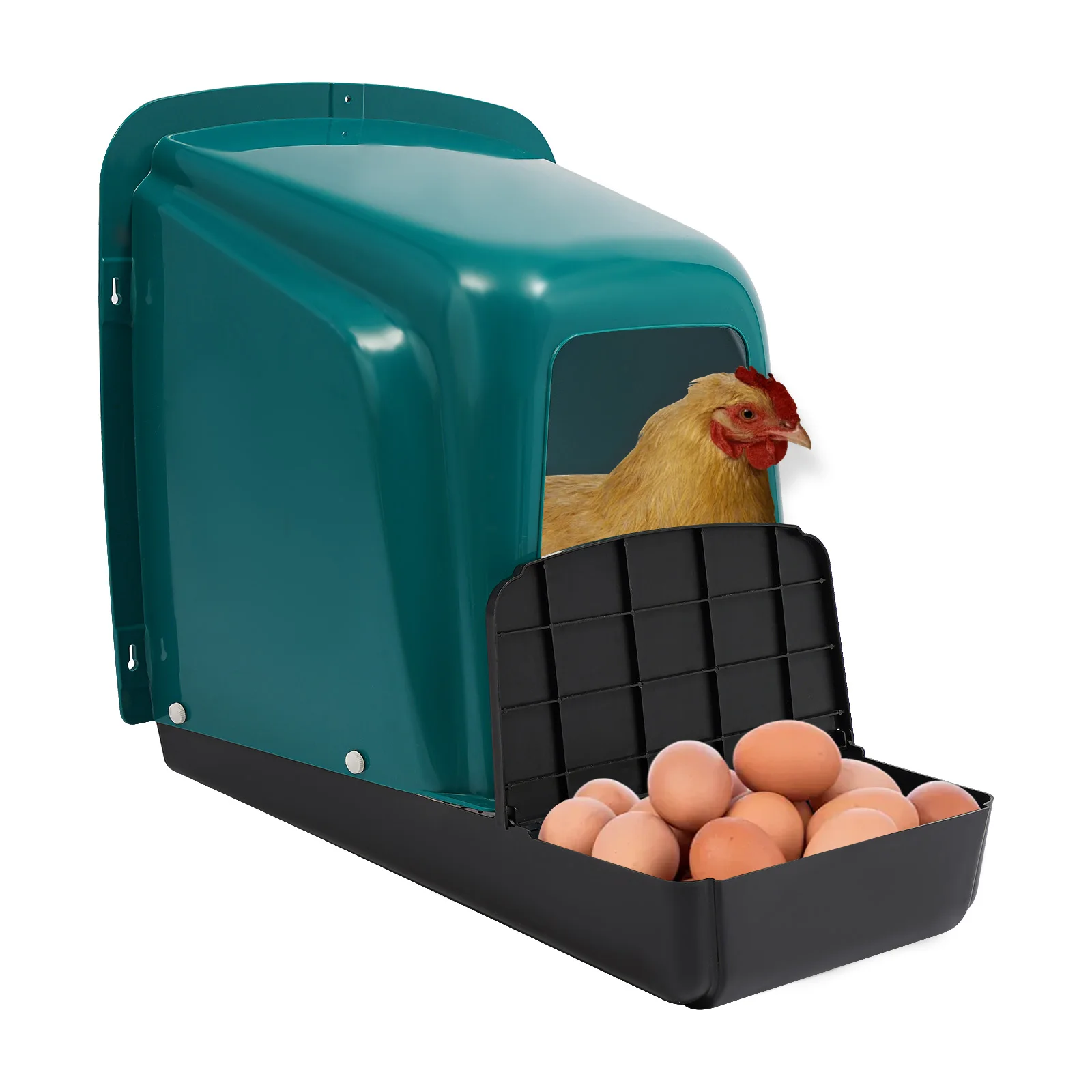 Chicken Nesting Box 5 Compartment 3