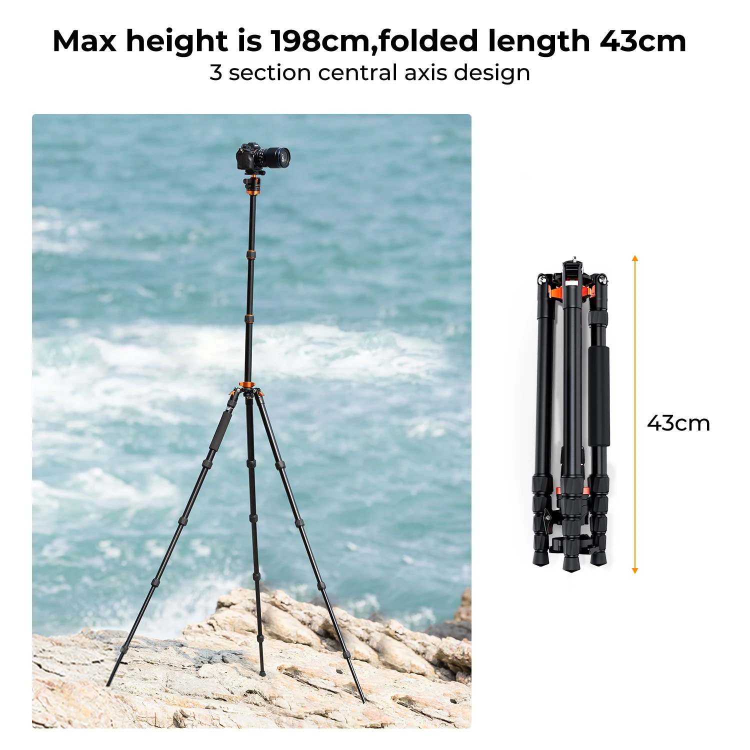 特別価格K＆F Concept 78.75 Inch Aluminium Photography/Video Tripod Light Stand for Relfectors, Softboxes, Lights, Umbrellas, Backgrounds並行輸入 : K\u0026F CONCEPT 78 inch DSLR Camera Tripods with