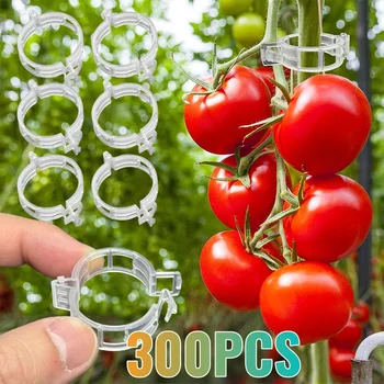 50-300Pcs Plastic Plant Support Clips Reusable Plastic Ties Trellis Stake Clips Greenhouse Holder for Garden Tools Accessories