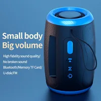 Altavoz Bluetooth portátil para exteriores, resistente al agua, inalámbrico, TWS, caja de columna de Radio, soporte para tarjeta TF, reproductor de música estéreo 3D Hi-Fi