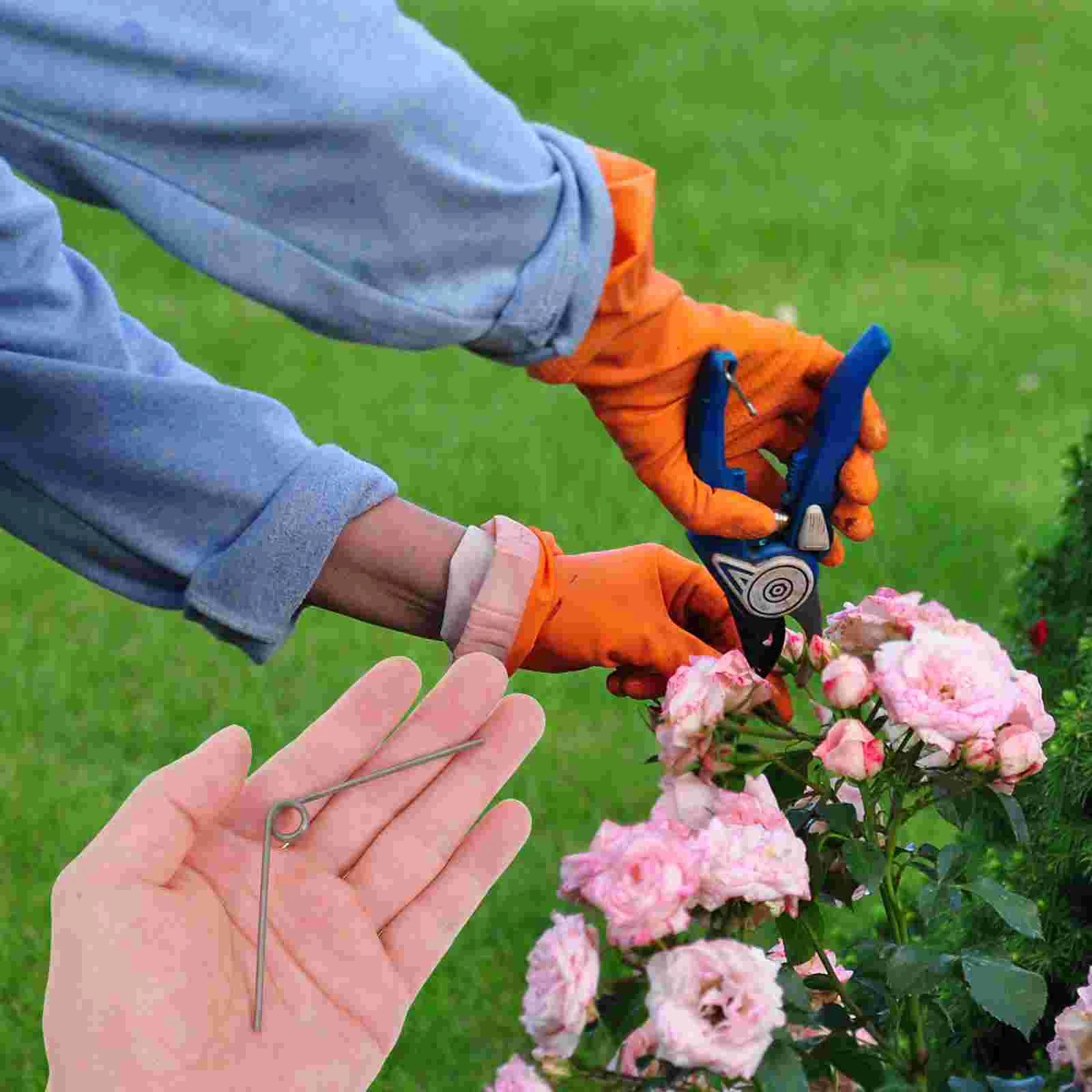 Slide image f1f47e575b5d4dd9b03516744fe81a32