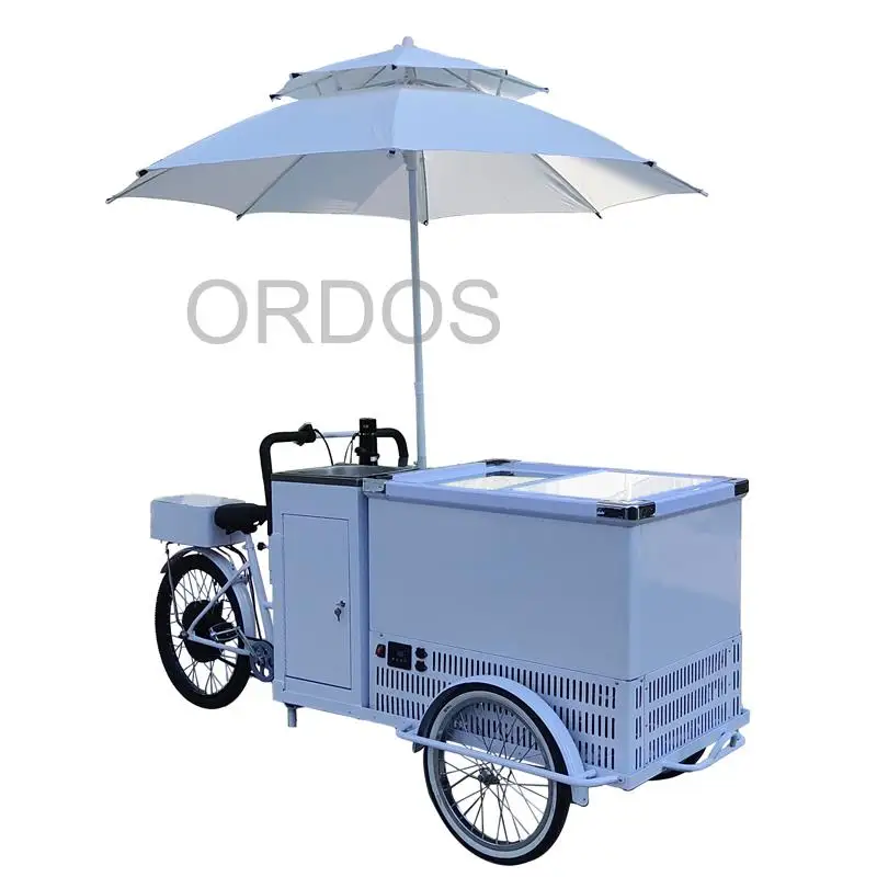 

Outdoor Mobile Food Ice Cream Cart With Freezer Battery Powered Freezer Hot Dog Coffee Pizza Retail Mobile Mall Kiosk