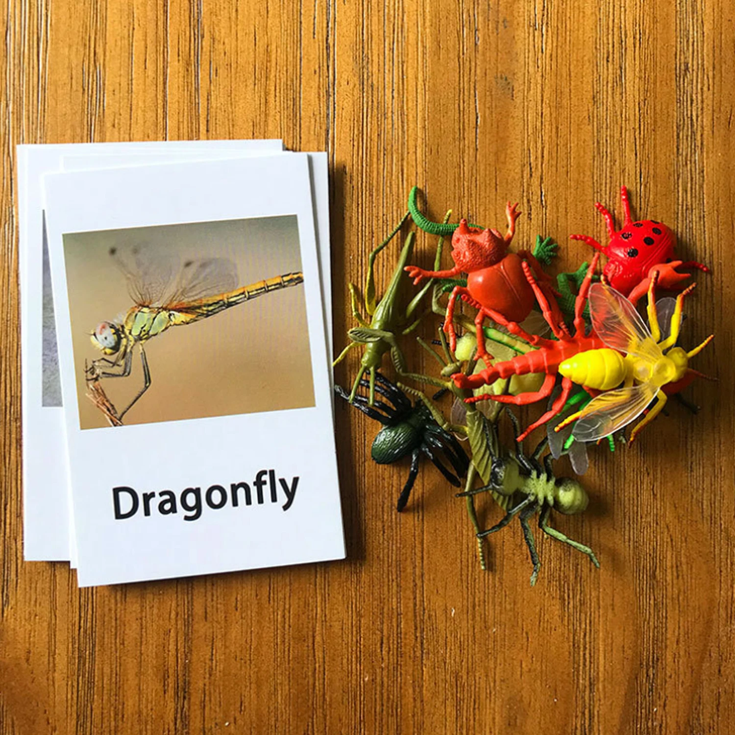 12PCS Montessori Animal Cards Funny Insect Figurines Toys with Matching Cards for Children Preschool Educational Toys Flash Card 2