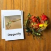 12PCS Montessori Animal Cards Funny Insect Figurines Toys with Matching Cards for Children Preschool Educational Toys Flash Card 2