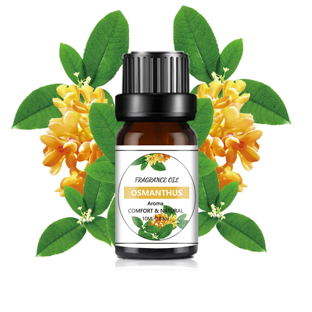 osmanthus