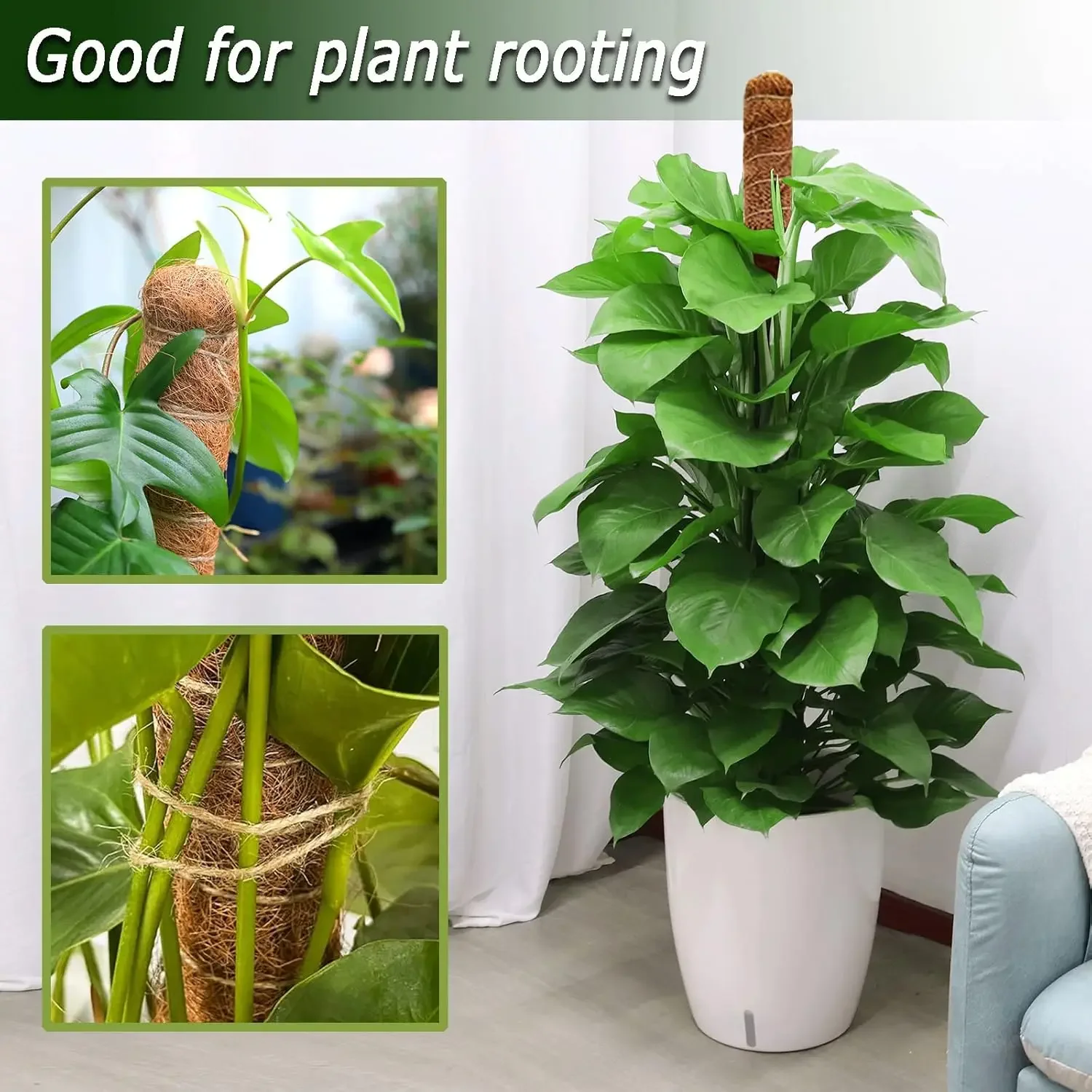 Soupiar Moss Pole for Climbing Plants Indoor