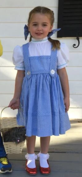 couple outfits Halloween costume wizard of oz,dorothy costume,wizard of oz costume,cosplay,halloween costume dorothy dress toddler girls dress matching family outfits