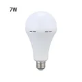 7W white light