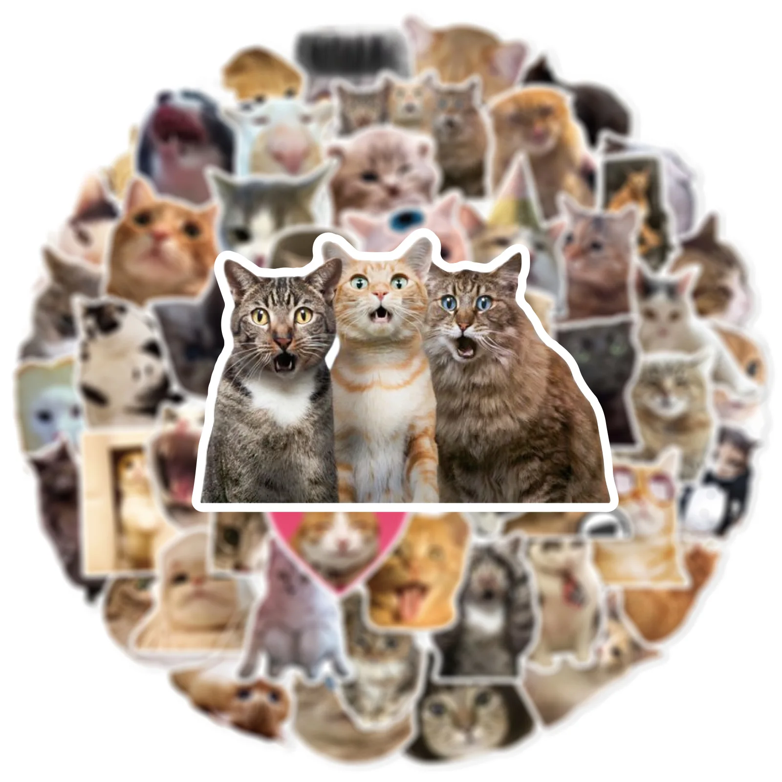 Sticker Cat. Random 50Pcs Surprise Cute Cat Meme Stickers Cat Decals For Phone Laptop ...