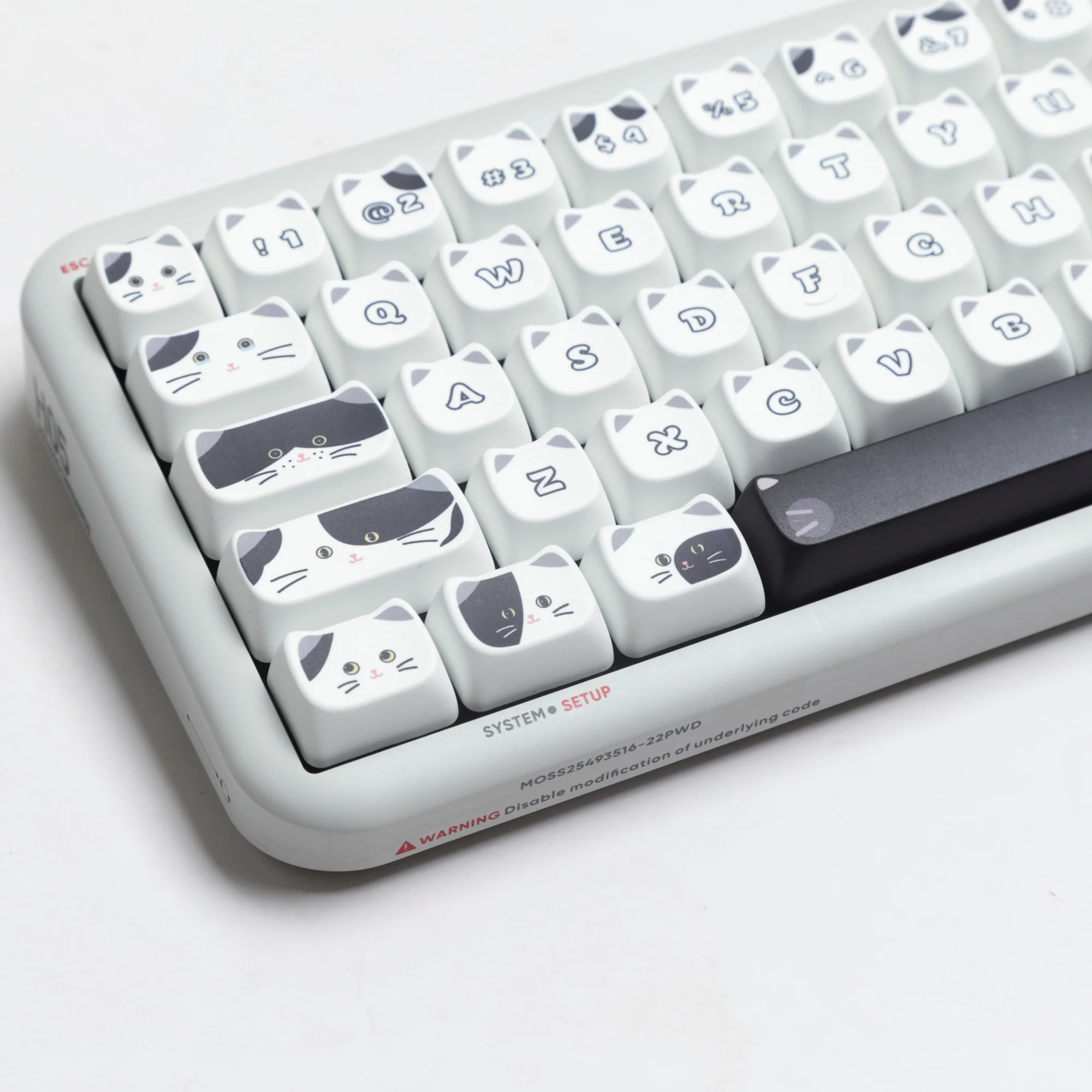 S6a9fbc9ace4549bd88158fc97e2fb