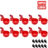 10PCS Large