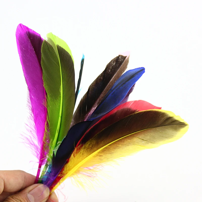 20pcs Female Pheasant Feather Natural Ringneck Tails Feathers 6-8inch  15-20cm for Crafts Home Wedding Party Performance DIY Decoration Pheasant