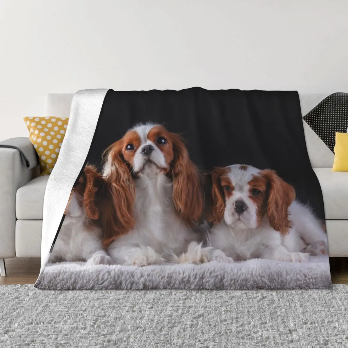 

Cavalier King Charles Spaniel Animal Plaid Blanket Flannel Textile Decor Dog Soft Throw Blankets for Bed Car Bedspread