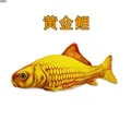 Image 22