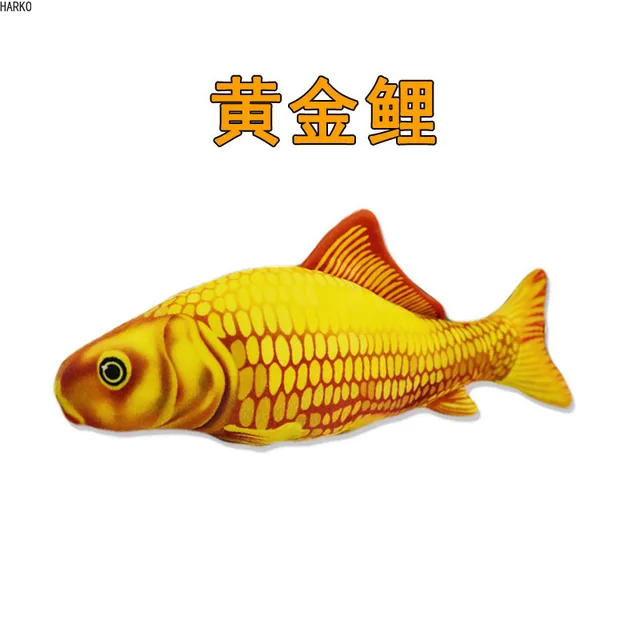 Image 22