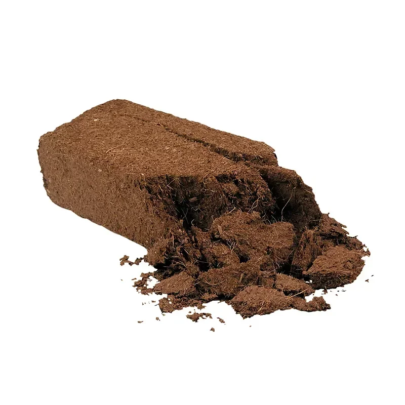 

Bottom Substrate Bedding Natural Tortoise Coconut Reptile Supplies Fiber Lizard Terrarium Soil 650g