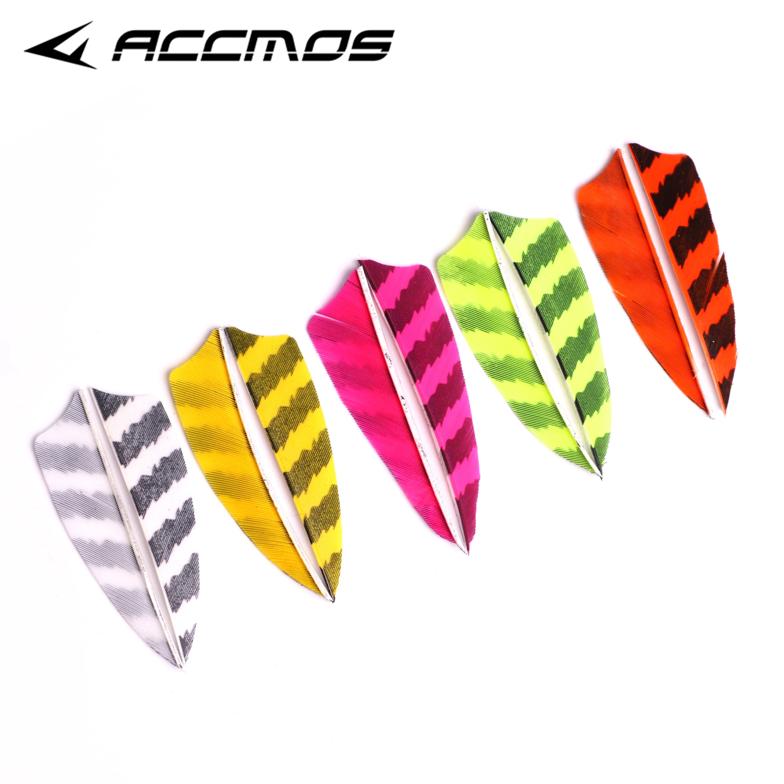 Plumes Pour Flèches De Tir à L'arc – Naturelles Barrées – Parabolique – Aile Droite – Lot De 25