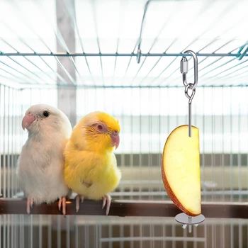 Bird Fruit Insert Feeder 10