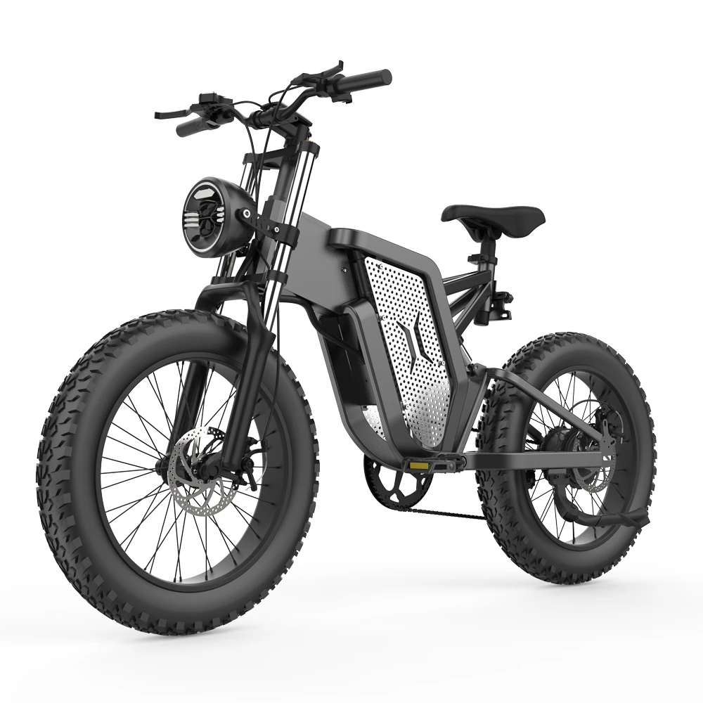 X20 Electric Bike 2000W 48V 30AH 20 Inch Spoke wheel Off Road Ebike