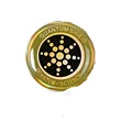 Golden 1pc