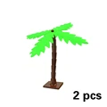 Coconut palm tree