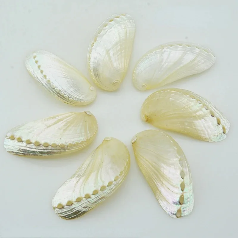 Materiale Artigianale Abalone Lastra In Guscio Abalone Naturale Per Intarsio - Verde/Blu, Dimensioni 240x120 Mm, Per Artigianato Fai-da-Te Alassio Albenga