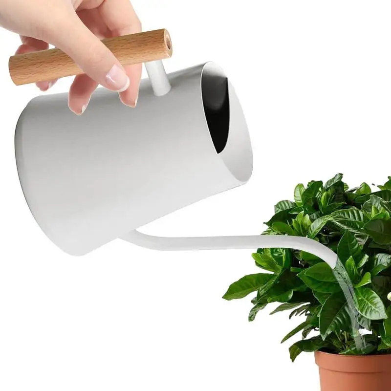 Long Neck Watering Can 42.27oz Thin Waist Stainless Steel Indoor Water