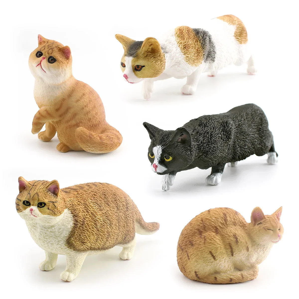 

Pet Cats Action Figure Kawaii Short Haired Fat Cat Countryside Animal Model Figurine PVC Children Toys Gift Desktop Collectibles