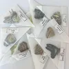 The original butterfly real butterfly specimen has not spread its wings popular science teaching aids handmade diy material 3