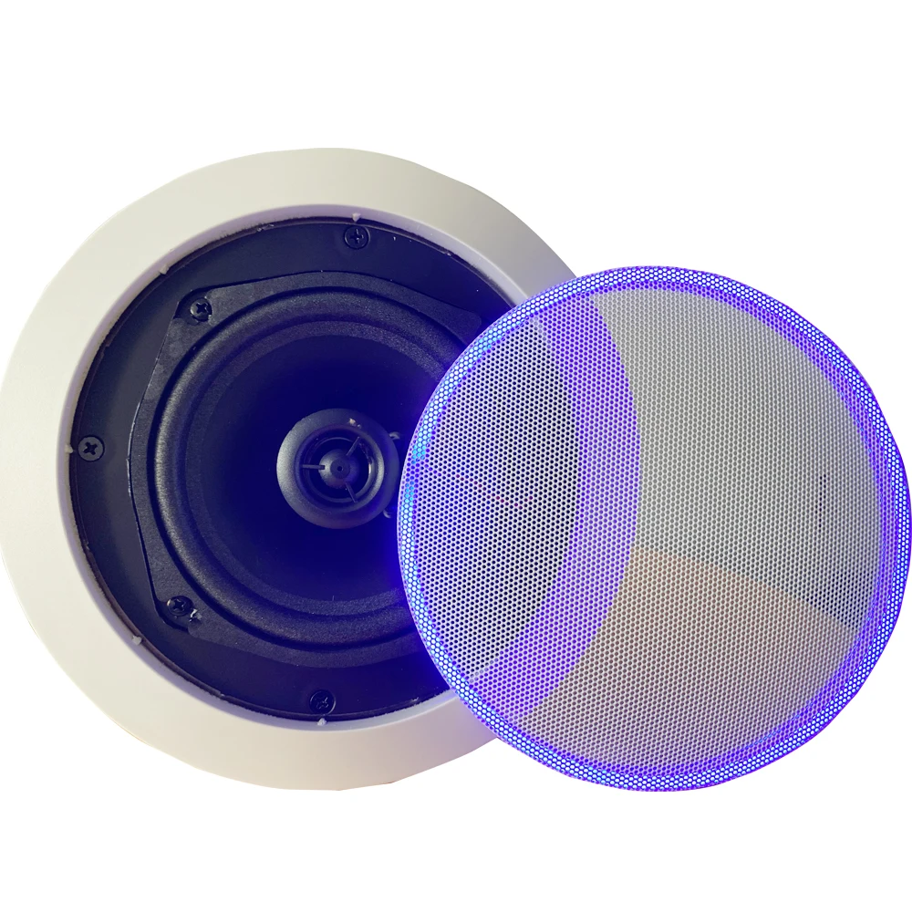 

Home Theatre System ceiling speaker