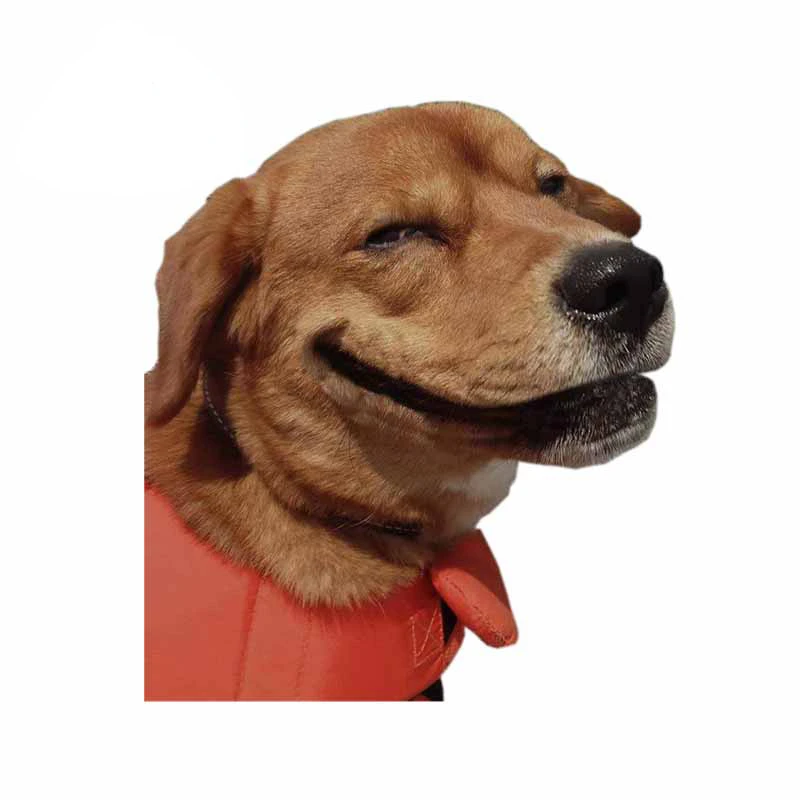 Lifelike Dog Animal Car Stickers funny decals Waterproof Reflective Sunscreen Creative Helmet Car accessories decoration