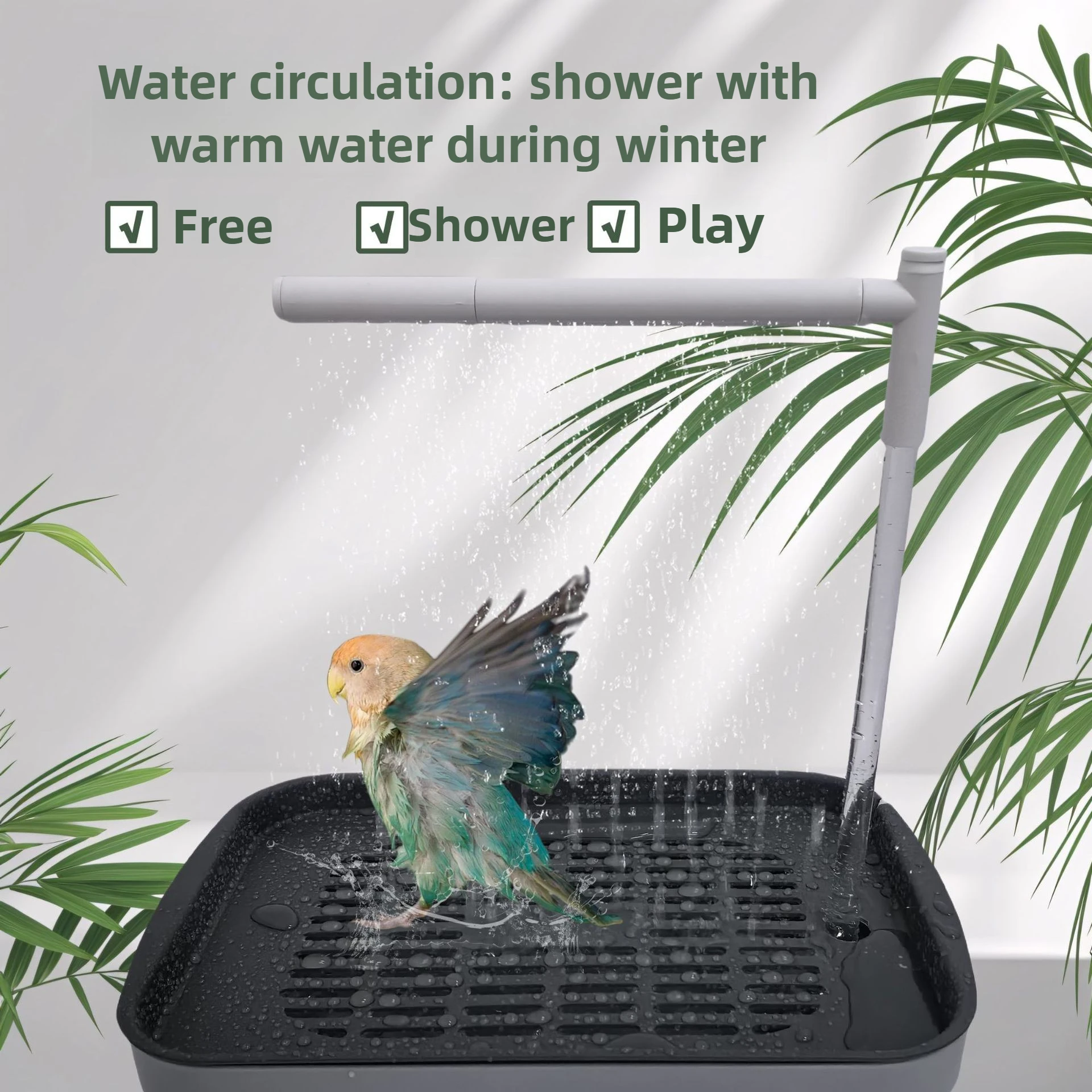 Automatic bird shower basin with parrot bathing under gentle water flow.