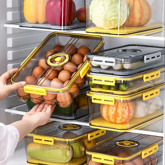 Drainable Refrigerator Organizer Containers Food-grade Fresh-keeping Sealed  Box Freezer Special Vegetable Fruit Storage Box - AliExpress