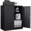 Metal Storage Cabinets with Lock, Small Locker Steel Cabinets, Adjustable Shelves 2 Doors for Home,Office(Black-36) 2