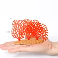 Coral -2