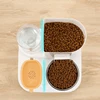Cat for feeder Cat water dispenser Cat bowl Dog food bowl Automatic feed Cat food feeder Pet supplies 3
