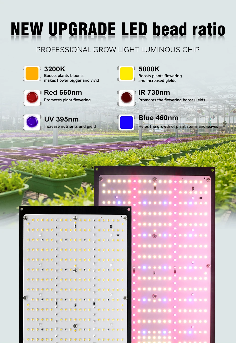 Pflanzenwachstumslampe 120W 240W Vollspektrum LED-Licht 4 Betriebsmodi mit Aufhängehaken für Indoor-Hydrokultur-Gewächshaus-Blumen – Detail 3
