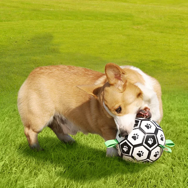 Dog Football Toy Pet Dog Toy Dog Interactive Toy Small Medium Breeds Soccer Ball Ball Against Dog Best Dog Toy Products For Dog 5