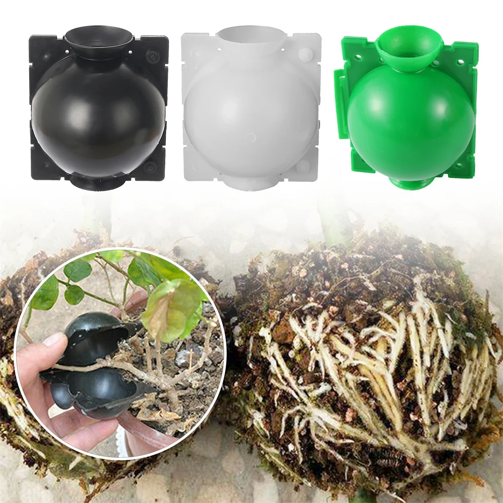 5/10Pcs Plant Rooting Ball Riutilizzabile Root Growing Box Propagazione Root Controller Per Piante Da Interno All'Aperto Riproduzione Asessuata