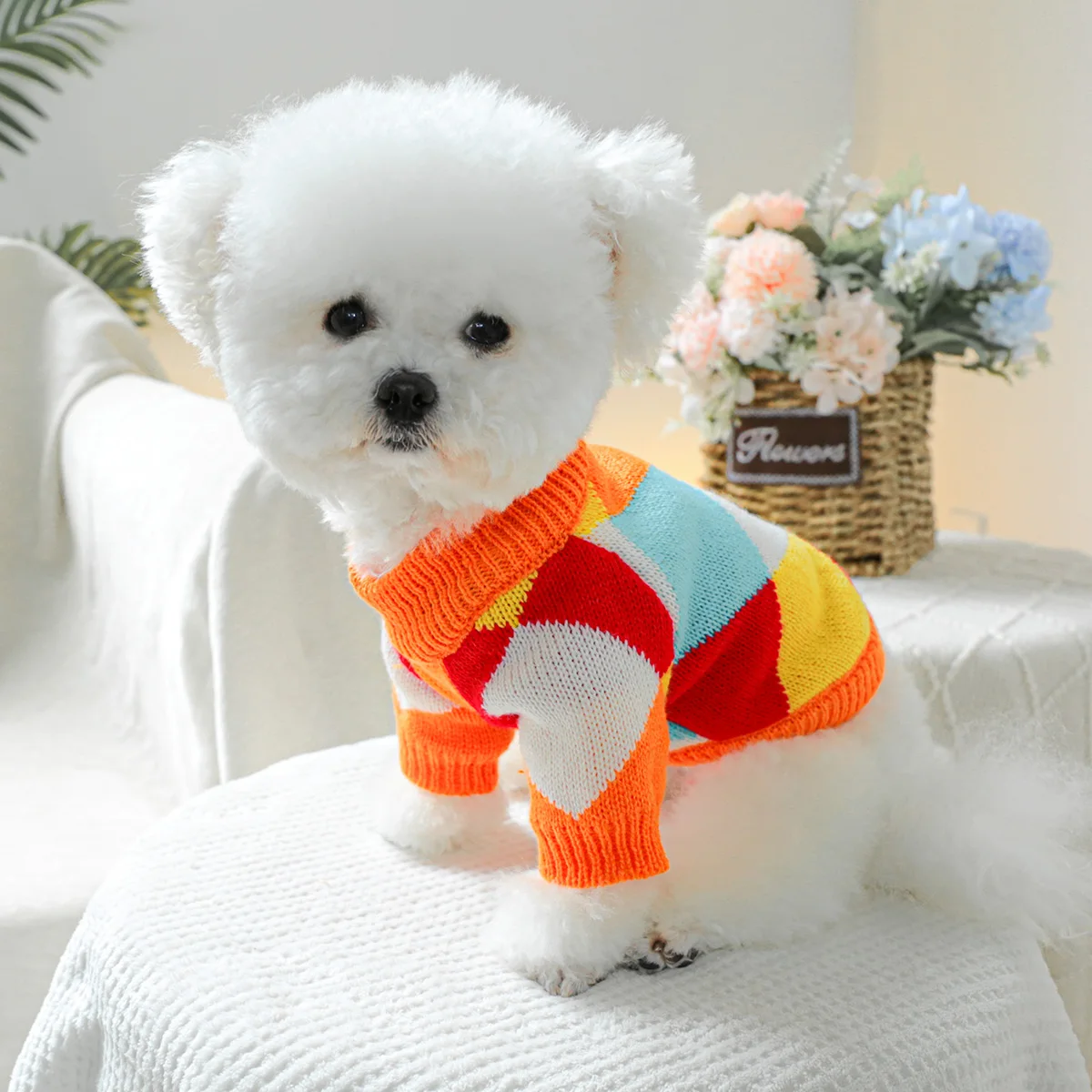 Pijama Sudadera Para Perros Y Gatos Ropa Suéter Mascota | Envío Gratis